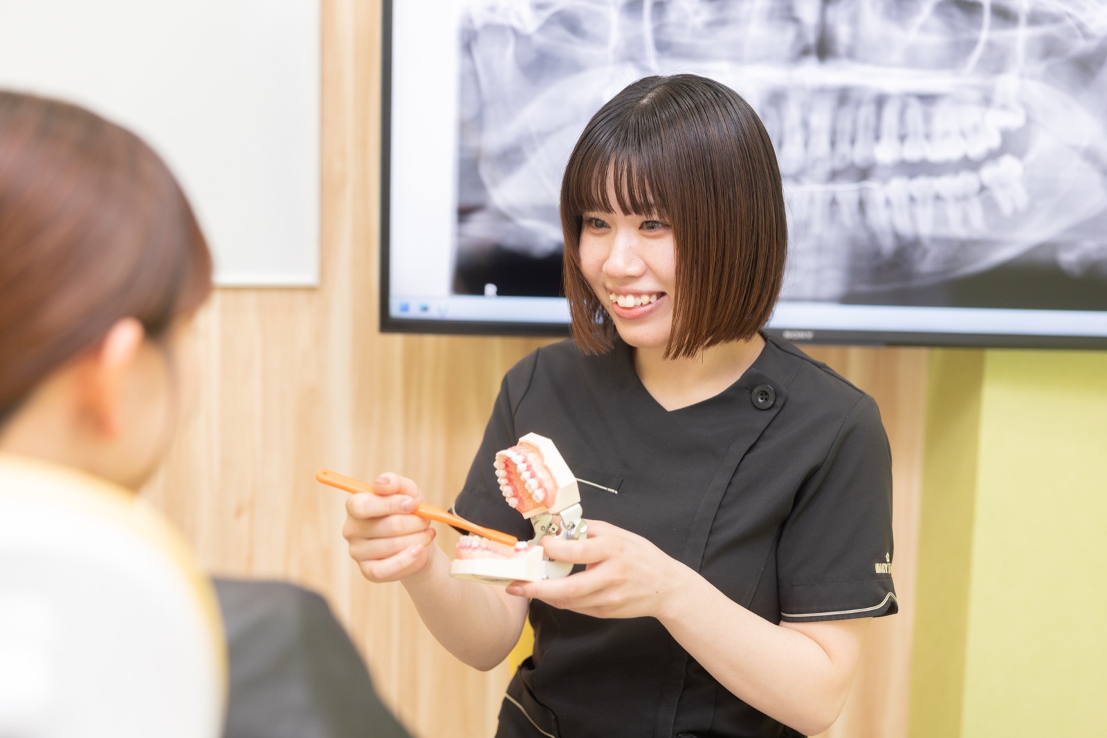 模型を使って治療手順を説明する歯科医師